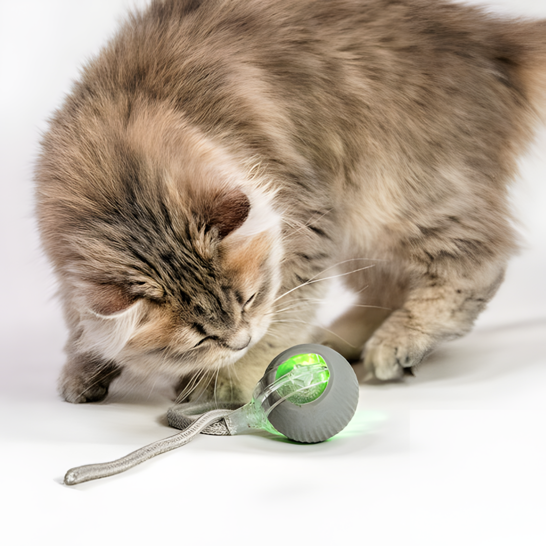Interaktiv Kattleksak – Självrörlig Boll och Stimulerande Pinne
