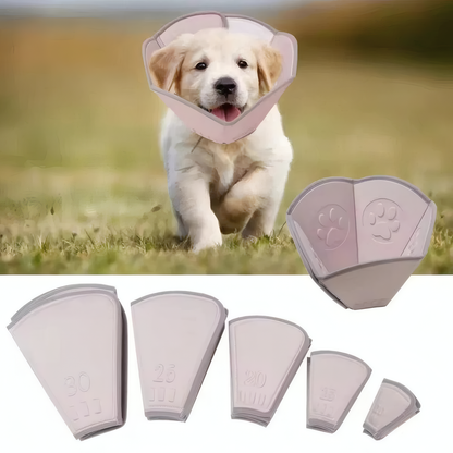 Skyddskrage för Hund och Katt