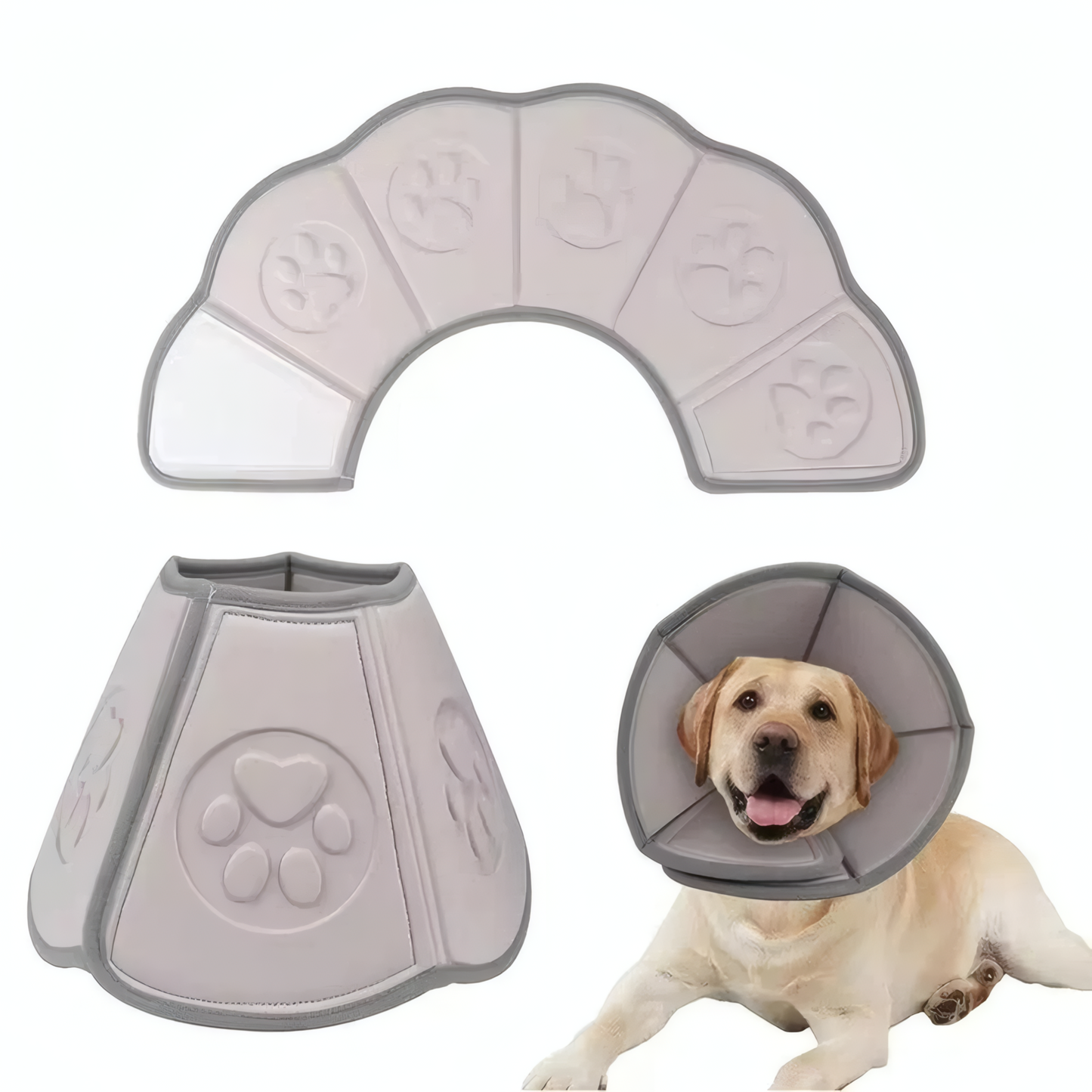 Skyddskrage för Hund och Katt