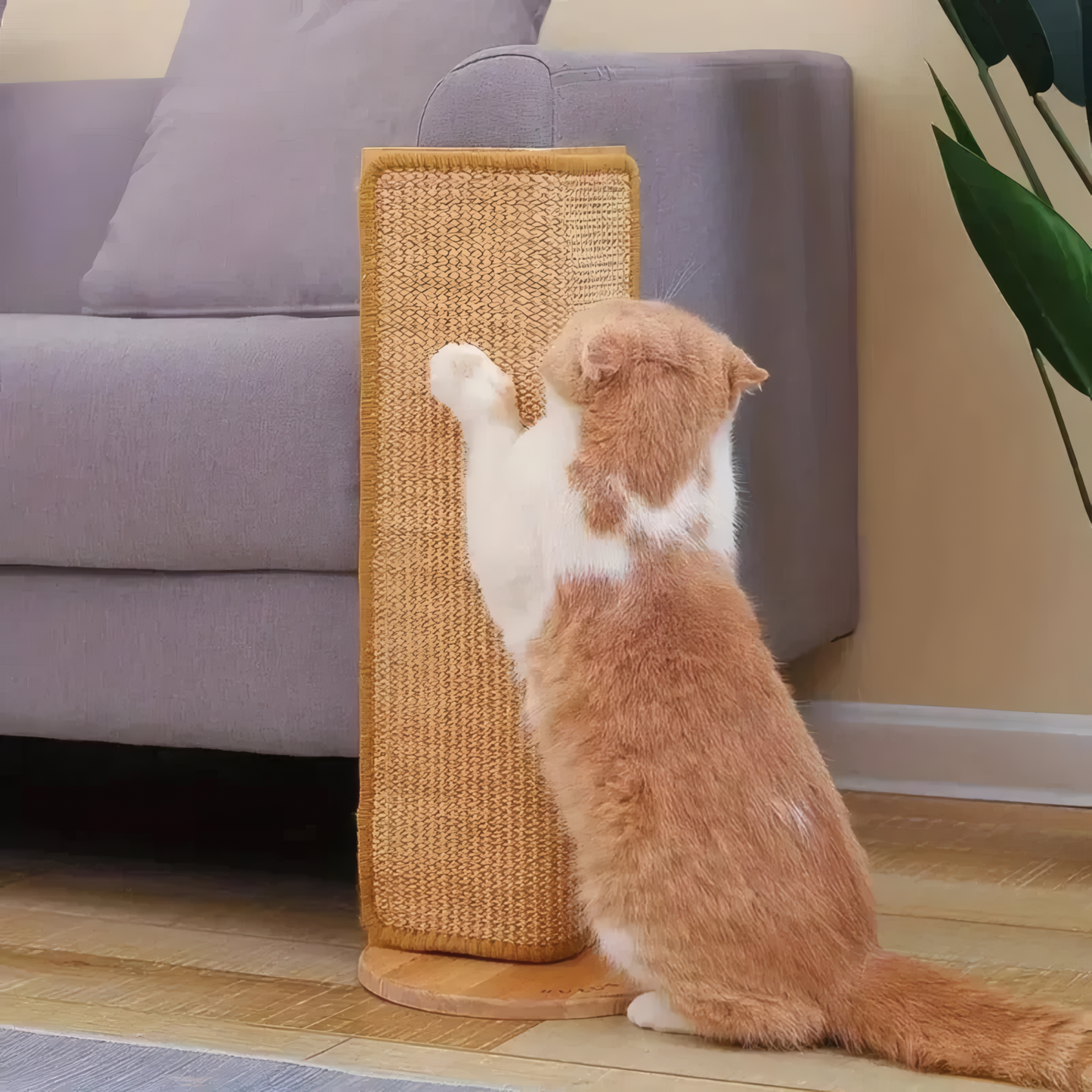 Naturlig Sisal Kattklösmatta