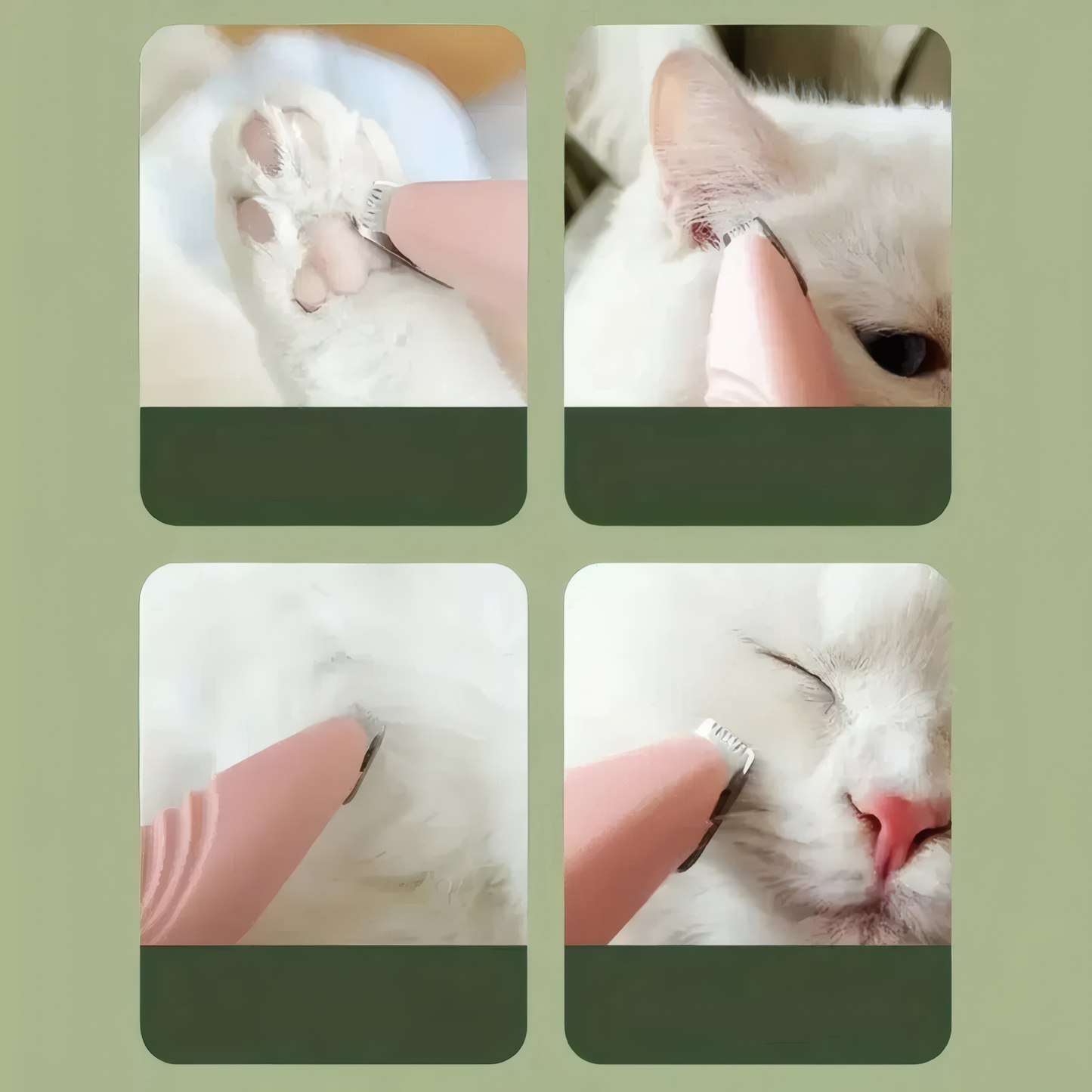 Pet Trimmer för Katter &amp; Hundar